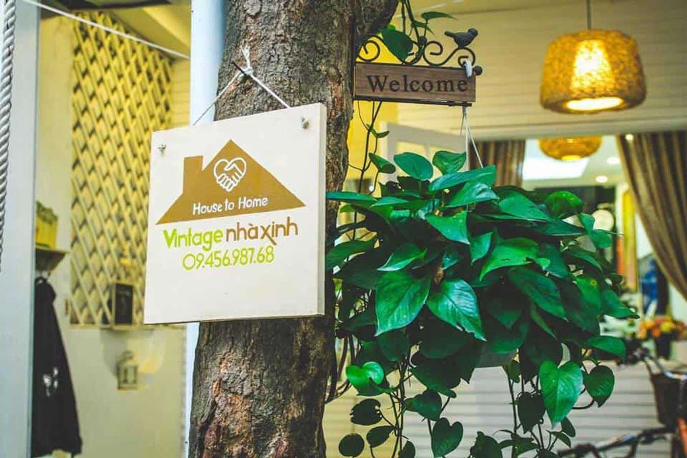 vintage Homestay-homestay tại hà nội