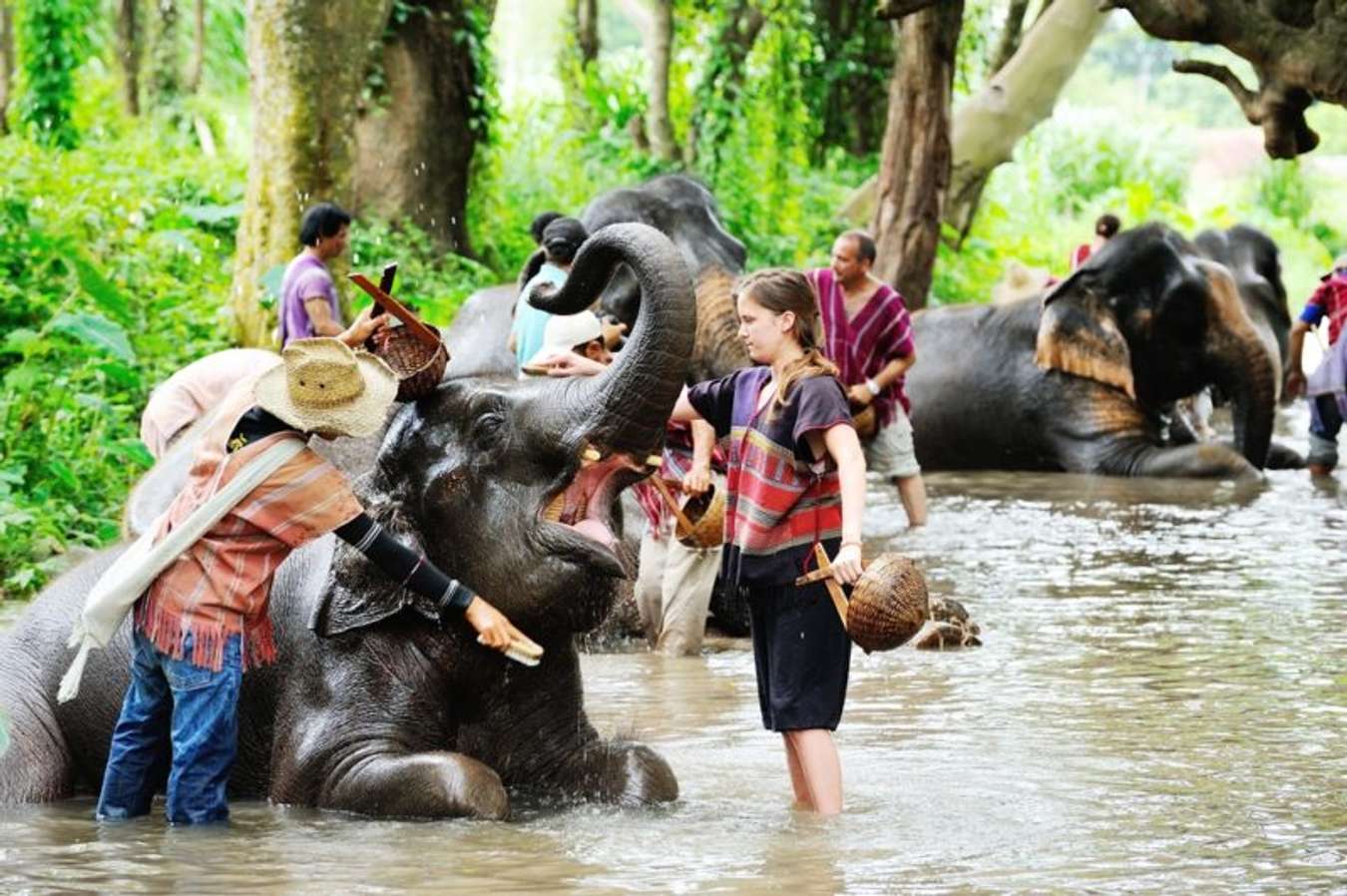 ปางช้างแม่สา - ที่เที่ยวเชียงใหม่หน้าหนาว