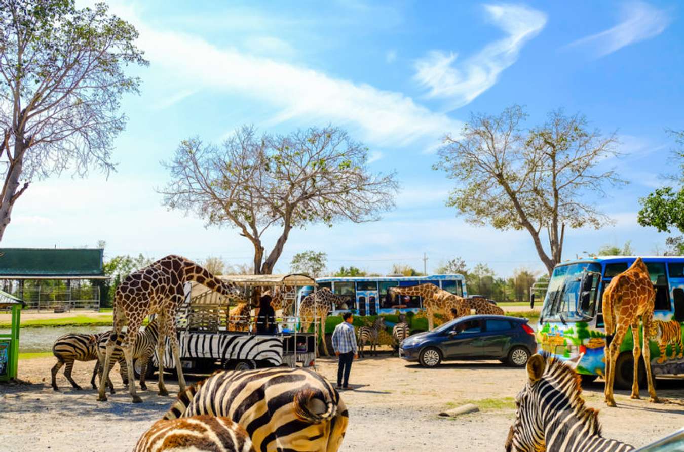 20 ที่เที่ยวใกล้กรุงเทพ ถ่ายรูปสวย บรรยากาศ ต้องตามไปเช็คอิน 20 ที่เที่ยวใกล้กรุงเทพ ถ่ายรูปสวย บรรยากาศ ต้องตามไปเช็คอิน