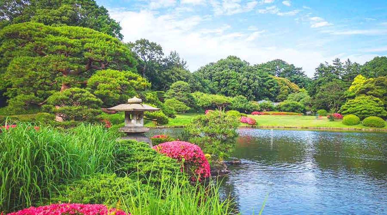 Shinjuku National Garden