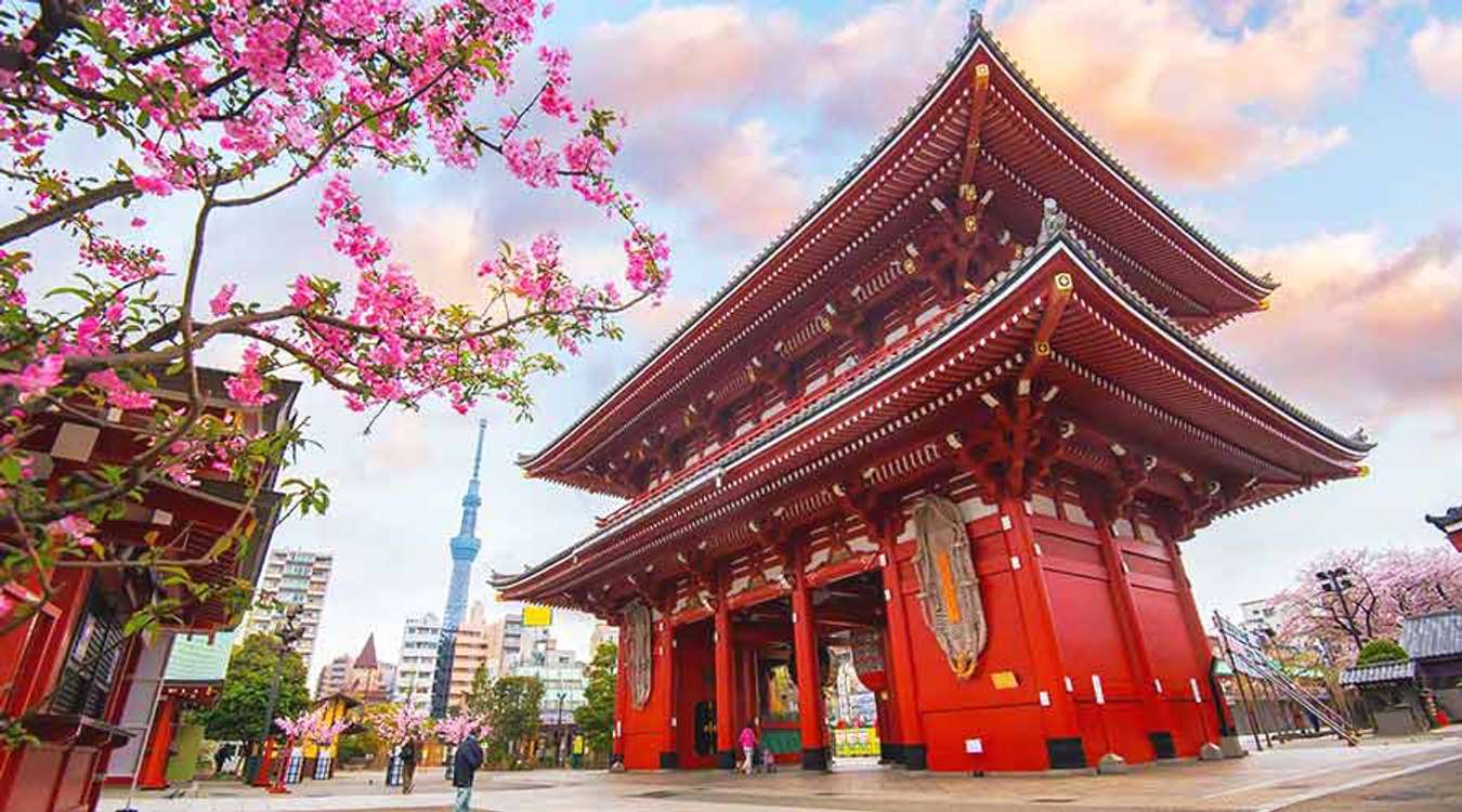 The Senso-ji Temple