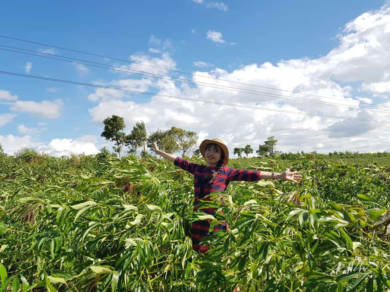 cao nguyên vân hòa phú yên