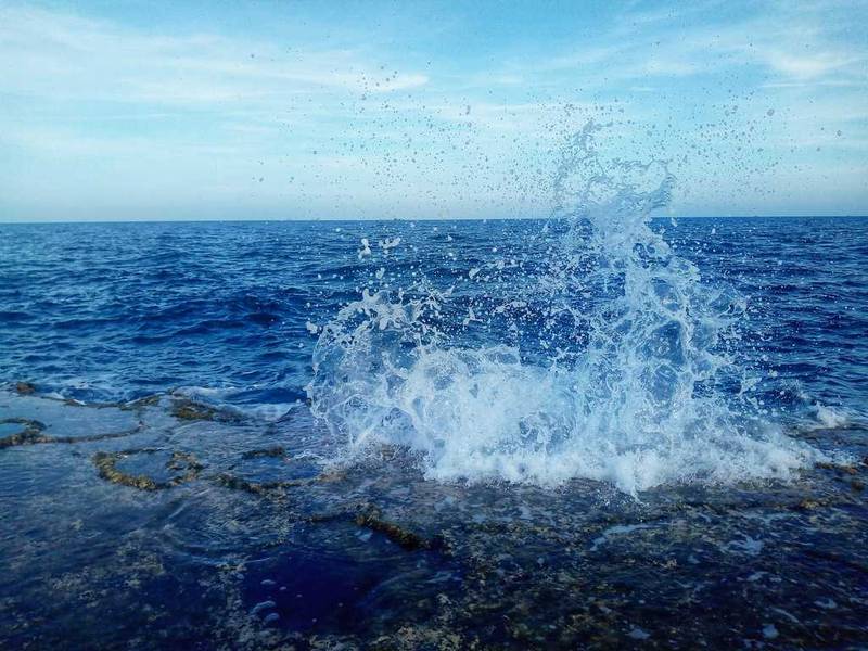 san hô hòn đỏ ninh thuận