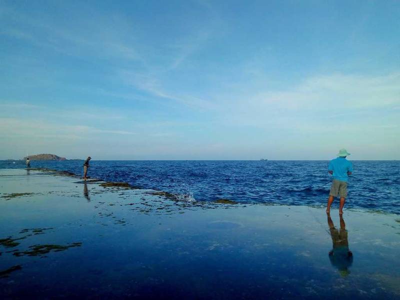 san hô hòn đỏ ninh thuận