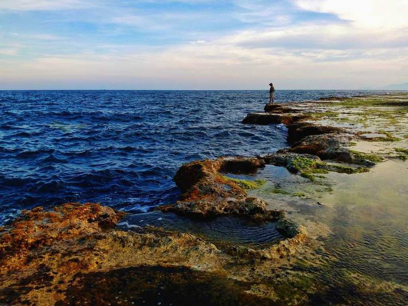 san hô hòn đỏ ninh thuận