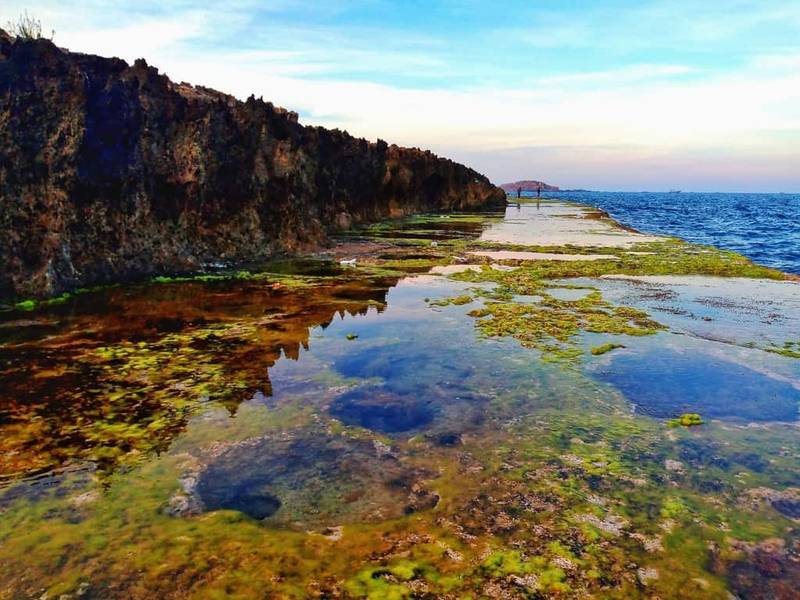 san hô hòn đỏ ninh thuận
