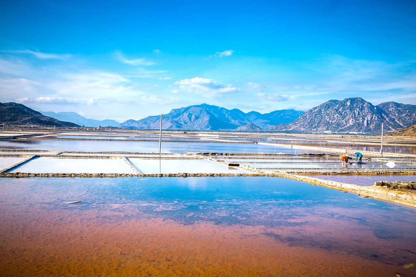 Cánh đồng muối Nhơn Hải-kinh nghiệm du lịch phan rang