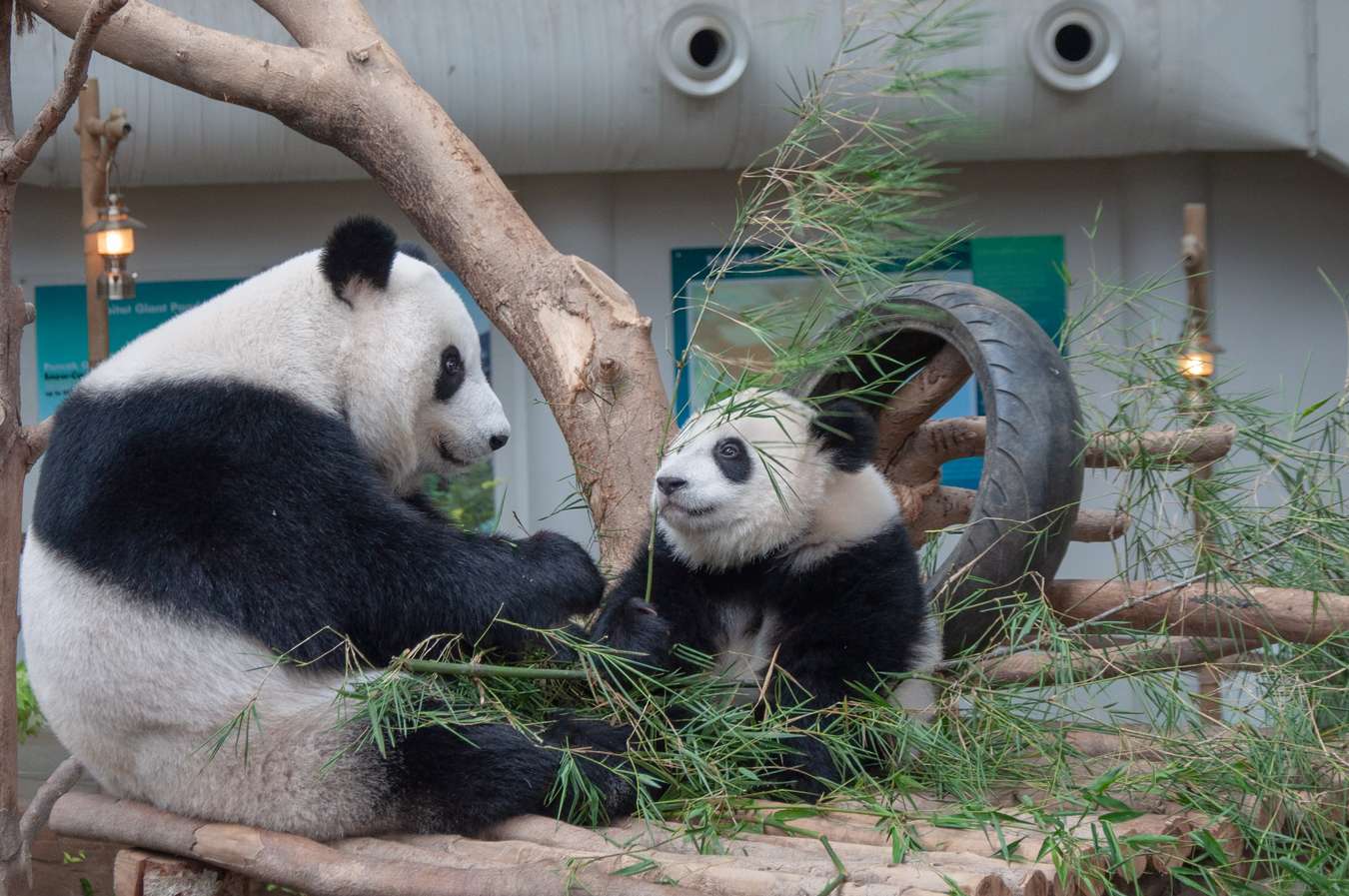 Zoo Negara