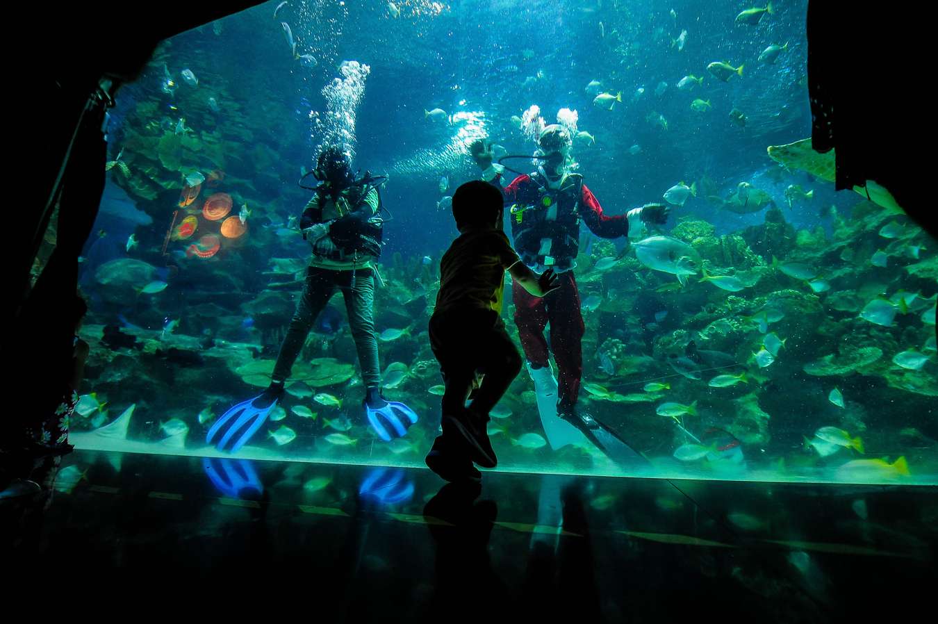 Aquaria KLCC