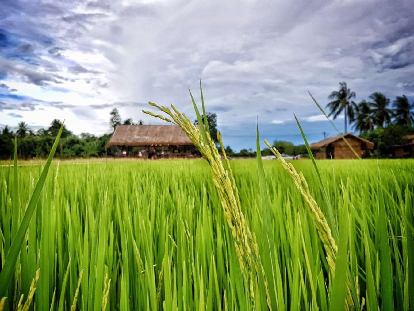 รักษ์คันนา - สถานที่เที่ยวในกาญจนบุรี