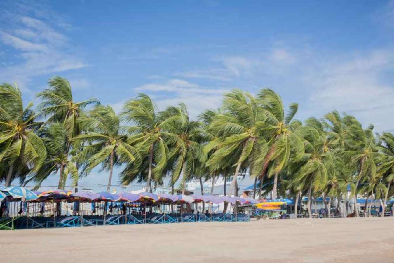 มหากาฬ 20 สถานที่เที่ยวบางแสน รวมมาให้แล้วว่ามันดีต่อใจ มหากาฬ 20 สถานที่เที่ยวบางแสน รวมมาให้แล้วว่ามันดีต่อใจ