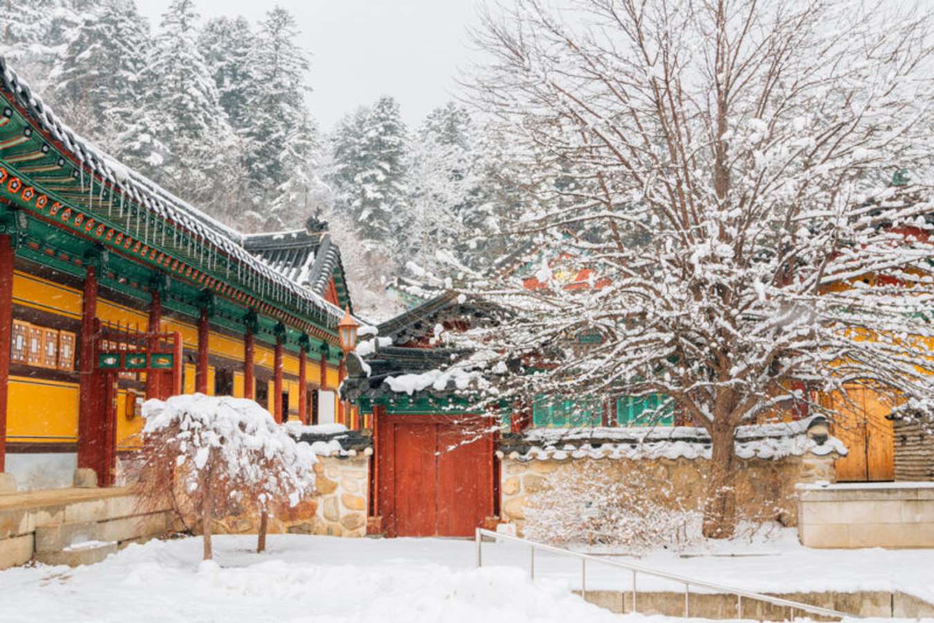 หนาวจนร้องขอชีวิต 15 ที่เที่ยวเกาหลีต้องไปก่อนหมดหิมะ