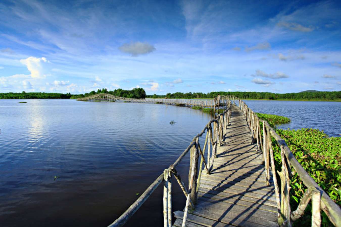 สะพานไม้เคี่ยม อ่างน้ำแก้มลิงหนองใหญ่ - สถานที่เที่ยวชุมพร