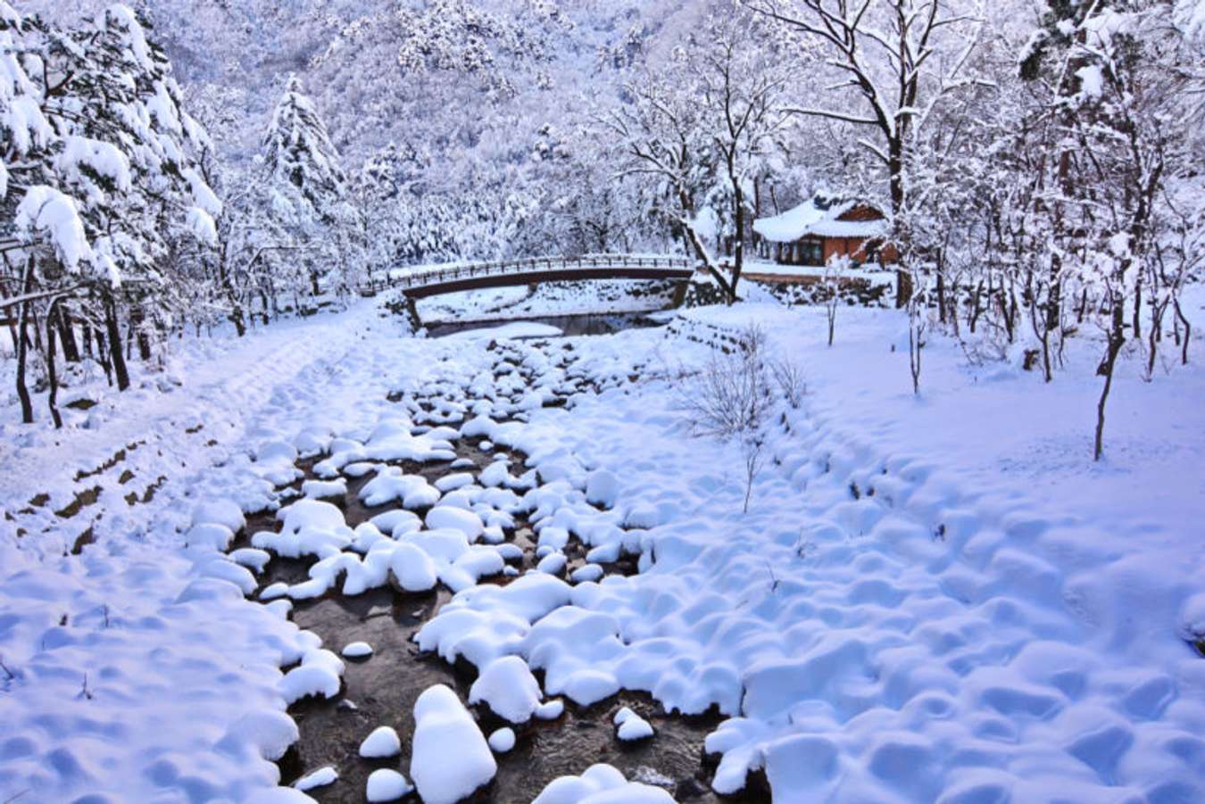 หนาวจนร้องขอชีวิต 15 ที่เที่ยวเกาหลีต้องไปก่อนหมดหิมะ หนาวจนร้องขอชีวิต 15 ที่เที่ยวเกาหลีต้องไปก่อนหมดหิมะ
