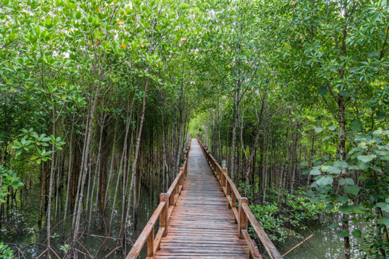 อุทยานแห่งชาติหมู่เกาะชุมพร - สถานที่เที่ยวชุมพร