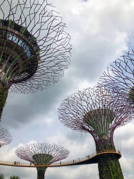 Gardens by the Bay from a unique perspective