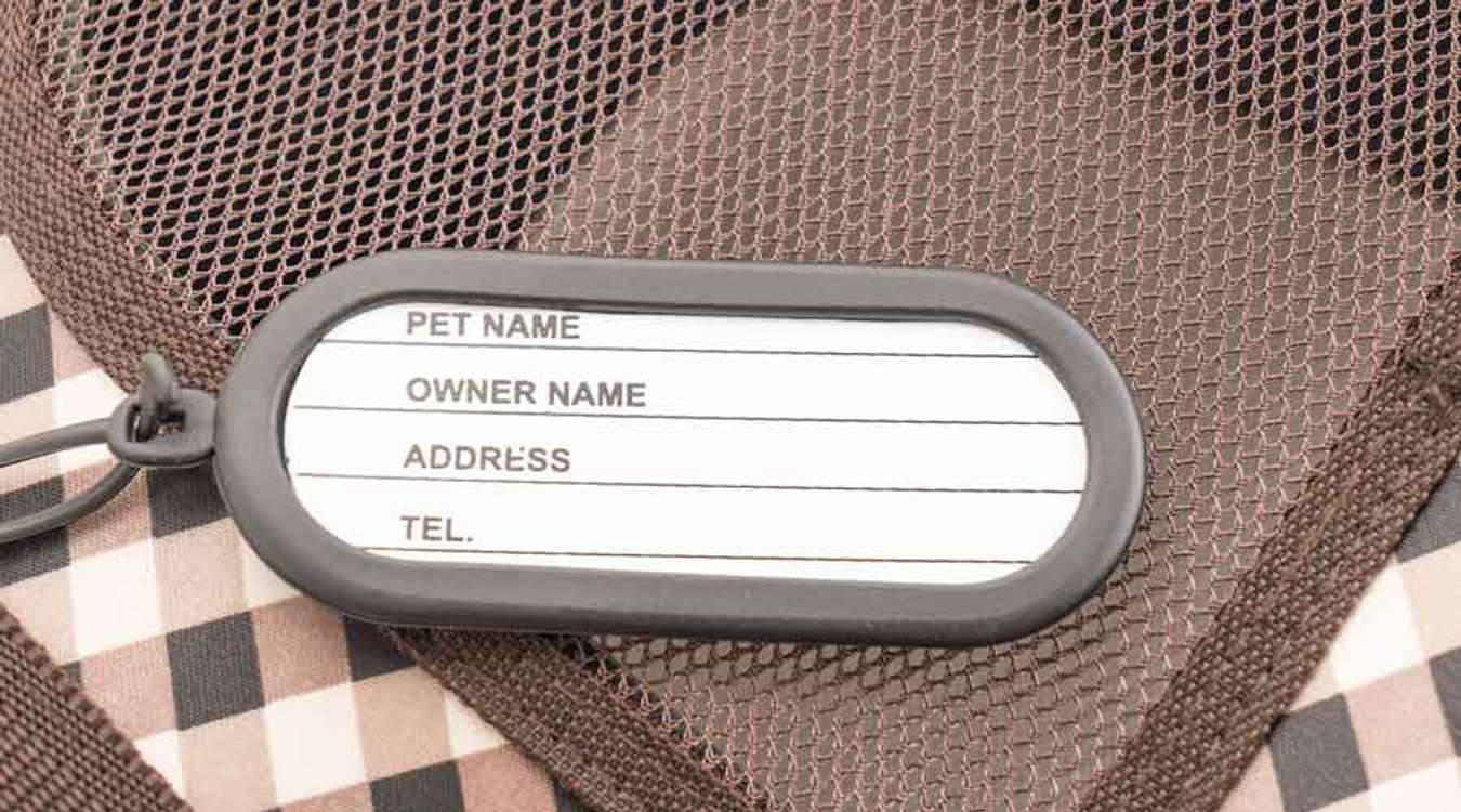 Pet ID tag