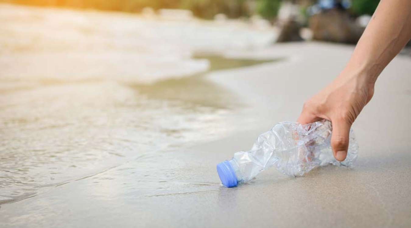 Pick up trash on the beach