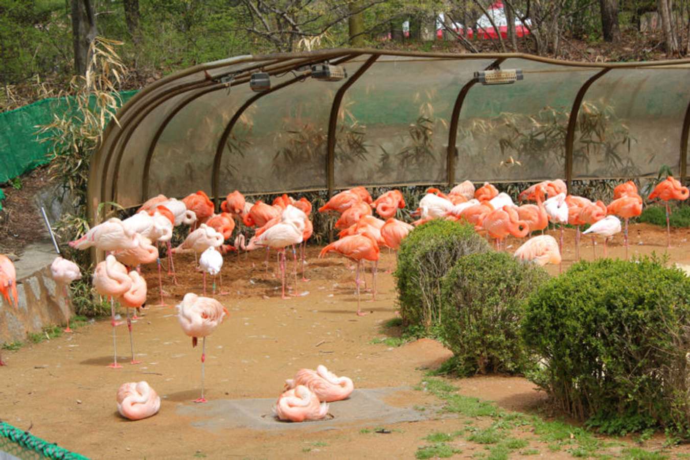 สวนสัตว์โซล (Seoul Zoo) - เกาหลี