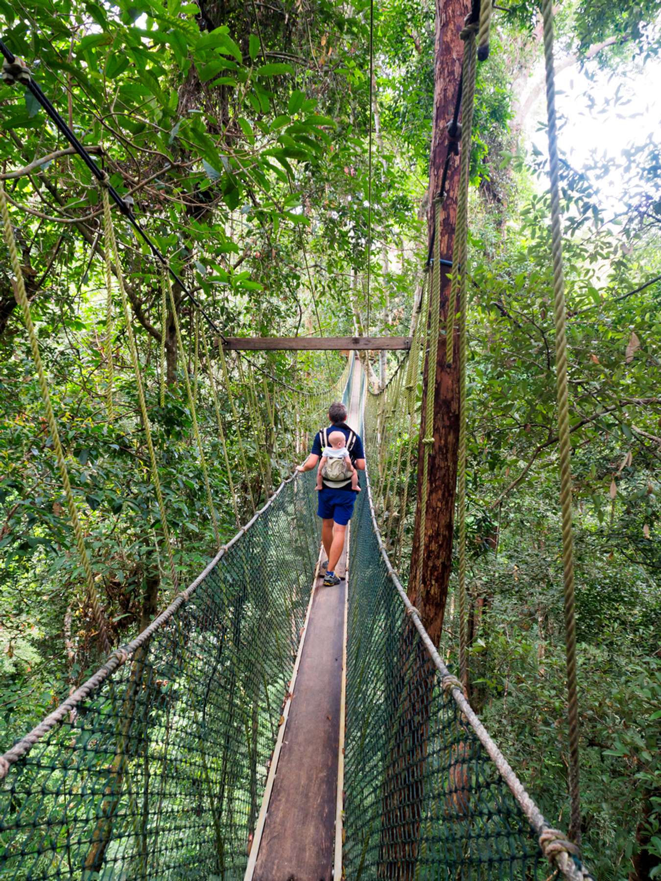 Taman Negara