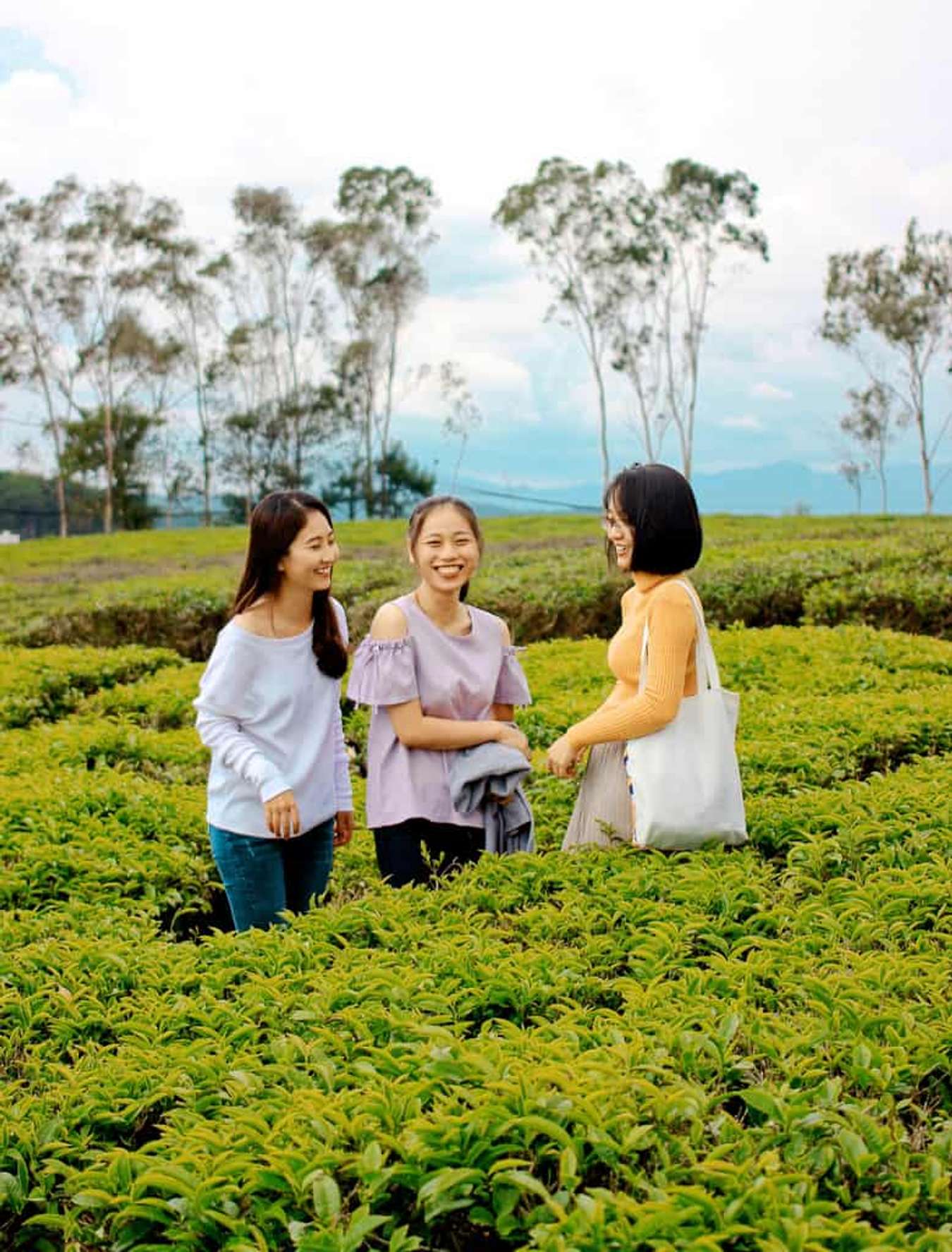 đi chơi tết-đà lạt