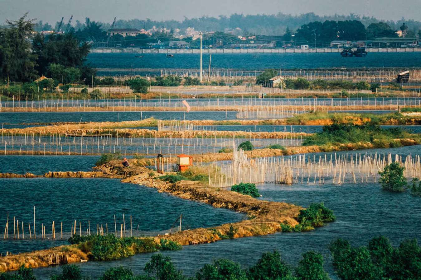 địa điểm đẹp ở huế-rừng rú chá