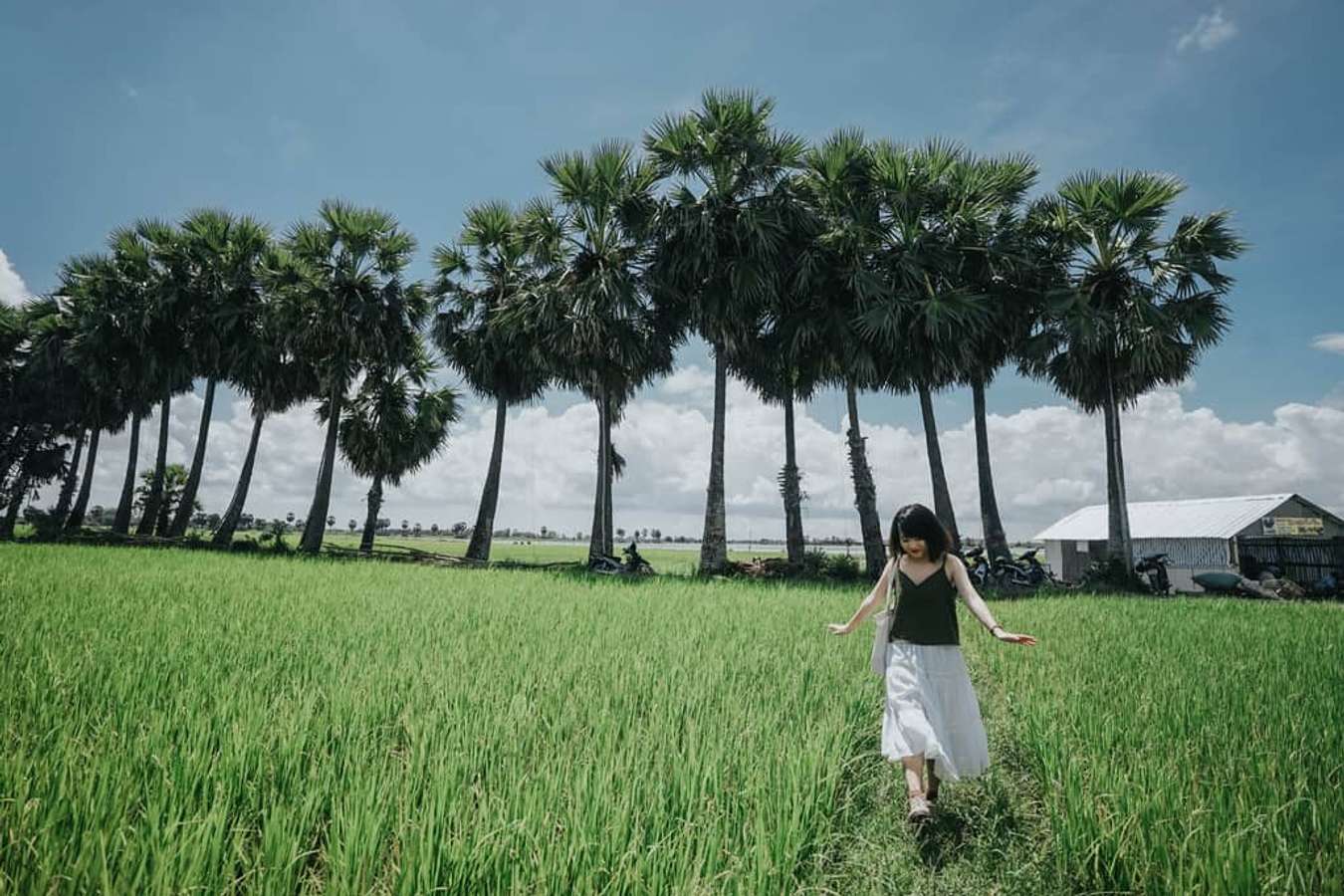 An Giang những ngày mùa trong veo