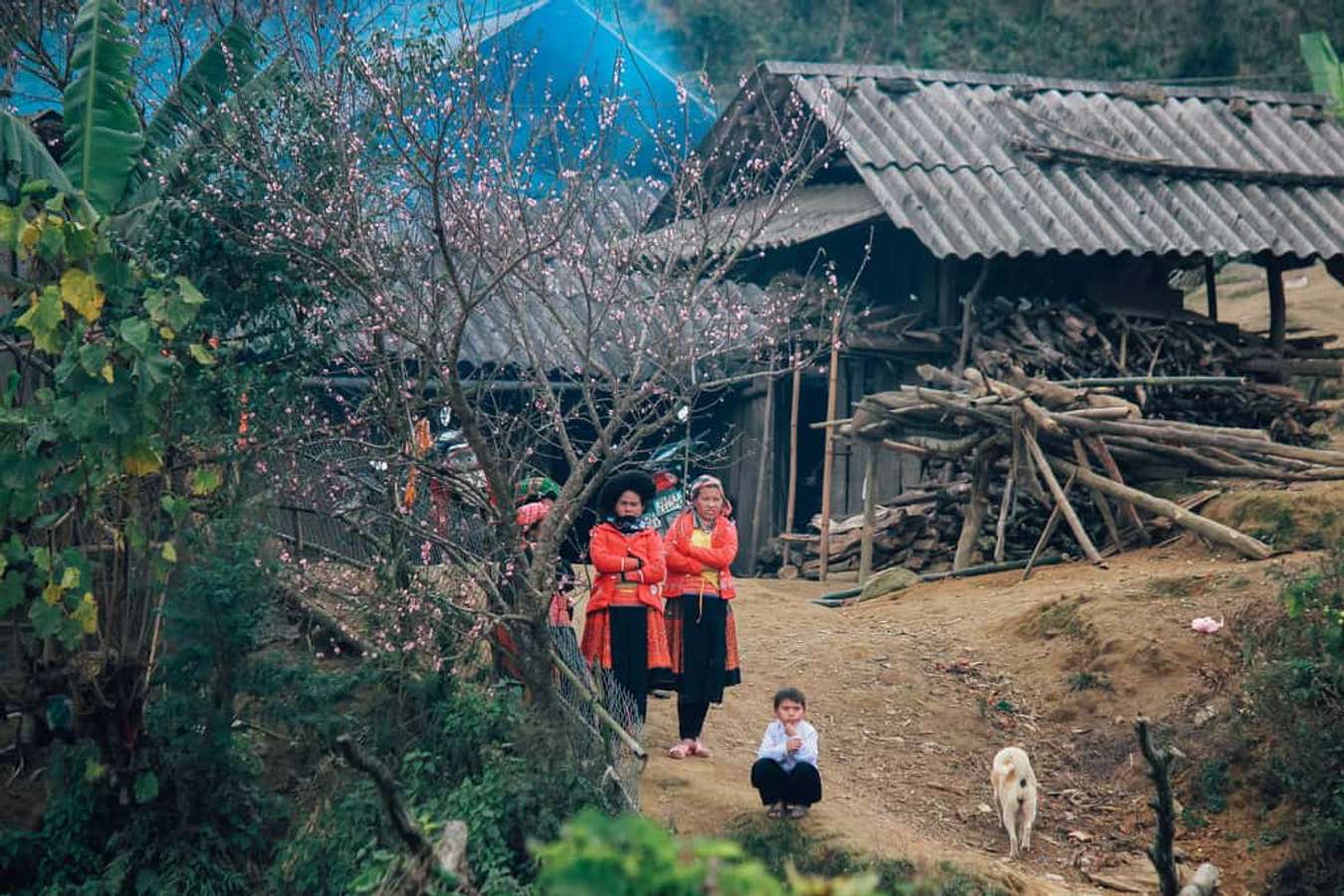 du lịch tà xùa