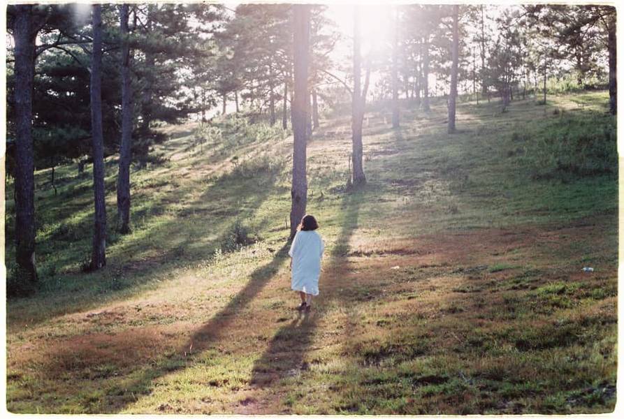 phan rang có gì chơi-đà lạt-rừng thông hồ suối vàng