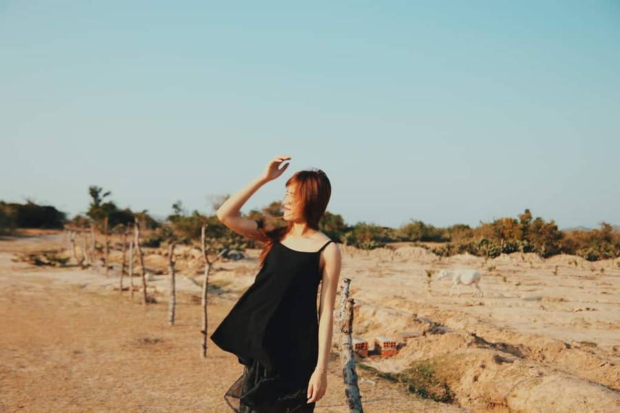 phan rang có gì chơi-Cánh đồng cừu An Hòa