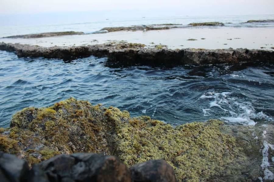 phan rang có gì chơi-hang rái