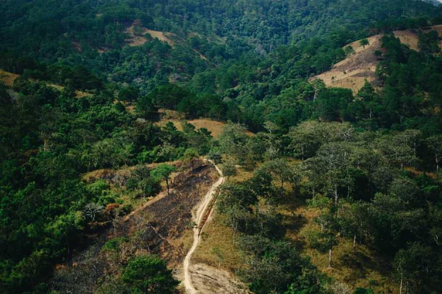 trekking tà năng phan dũng