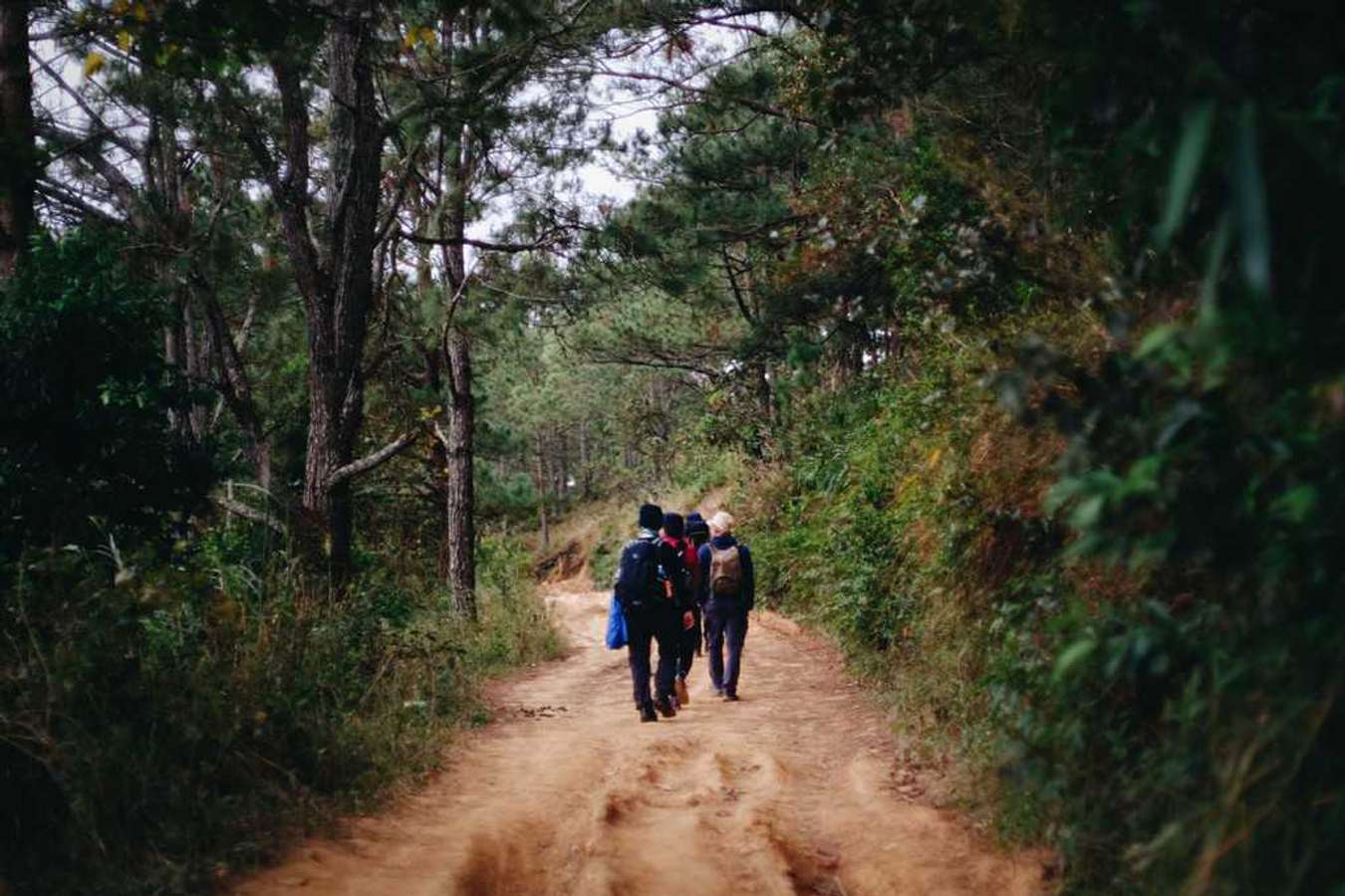 trekking tà năng phan dũng