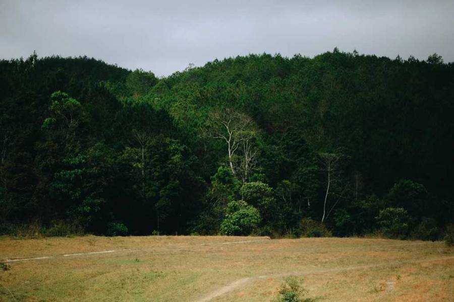 trekking tà năng phan dũng