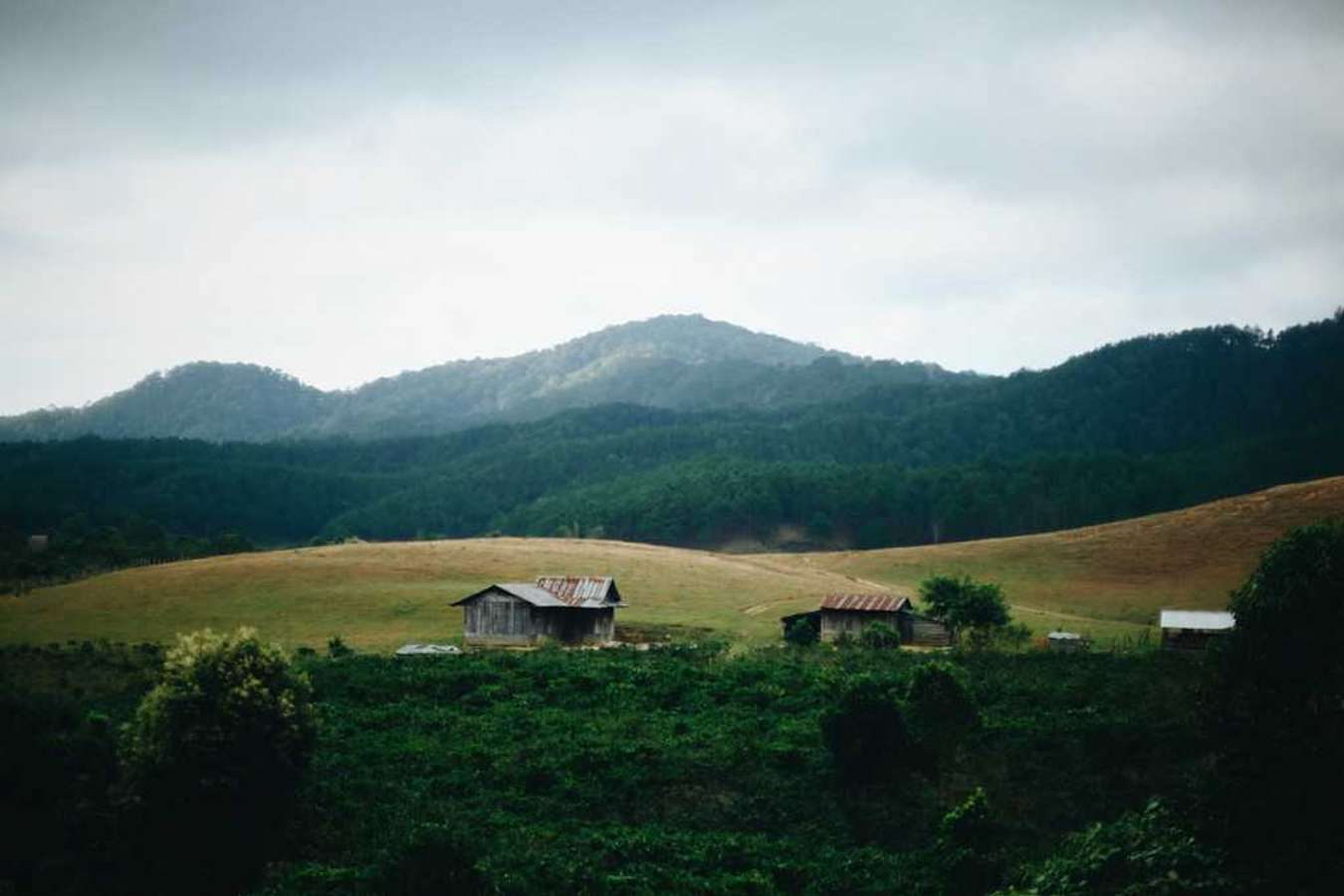 trekking tà năng phan dũng