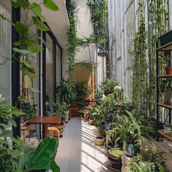 Sài Gòn, cafe ở Sài Gòn, check-in Sài Gòn