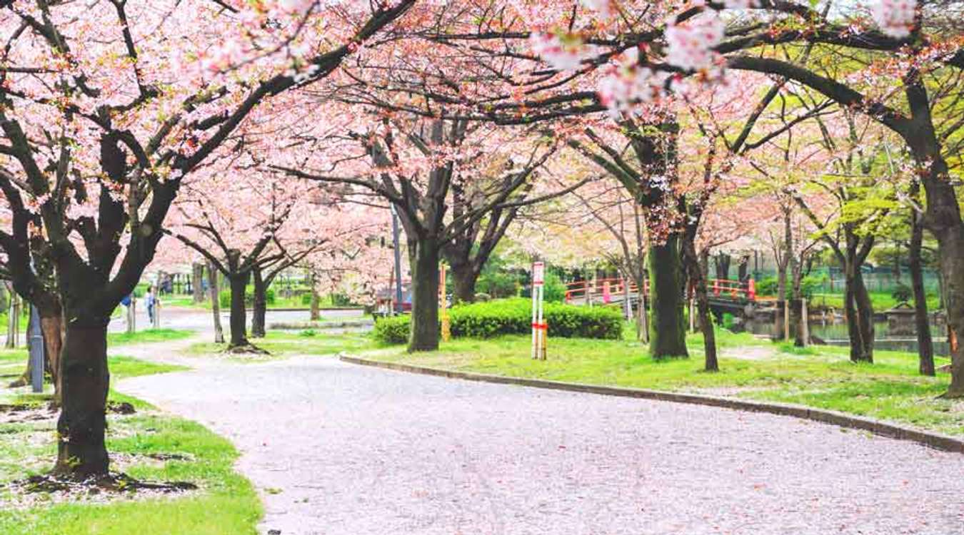 Kema Sakuranomiya Park Osaka