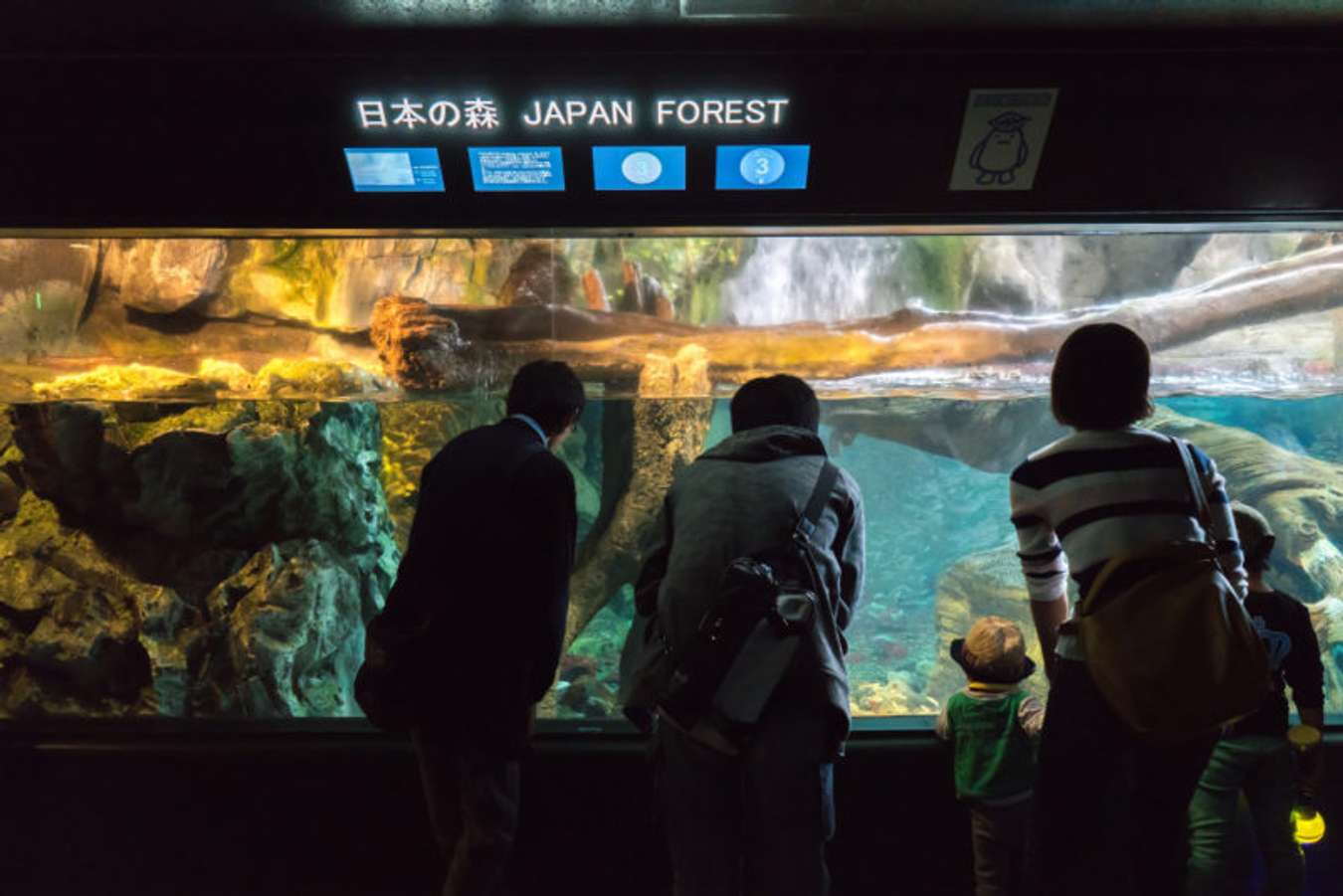 พิพิธภัณฑ์สัตว์น้ำไคยูกัง (Osaka Aquarium KAIYUKAN) - เที่ยวญี่ปุ่น