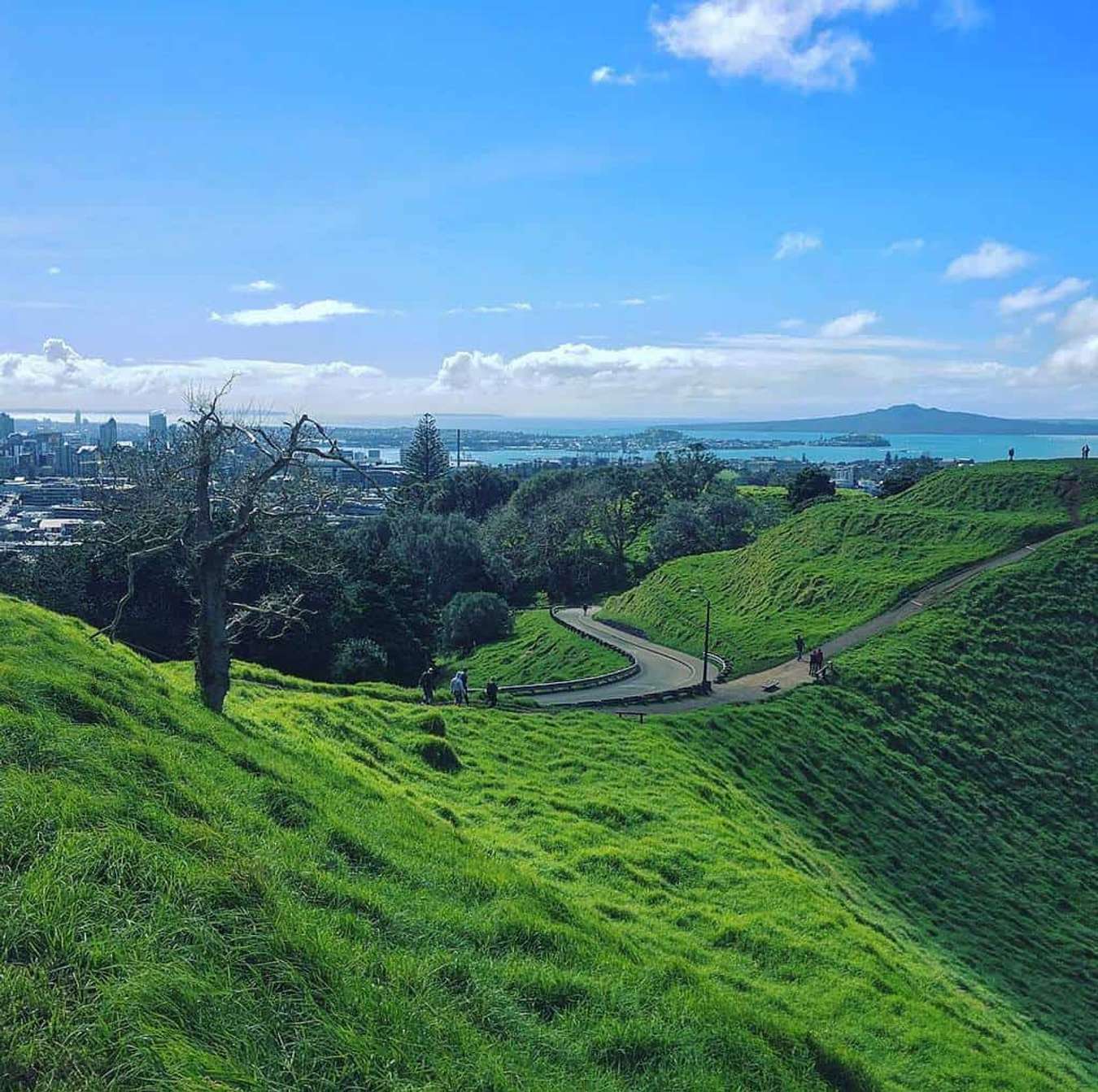 Miệng hố núi lửa trên núi Eden - du lịch Auckland