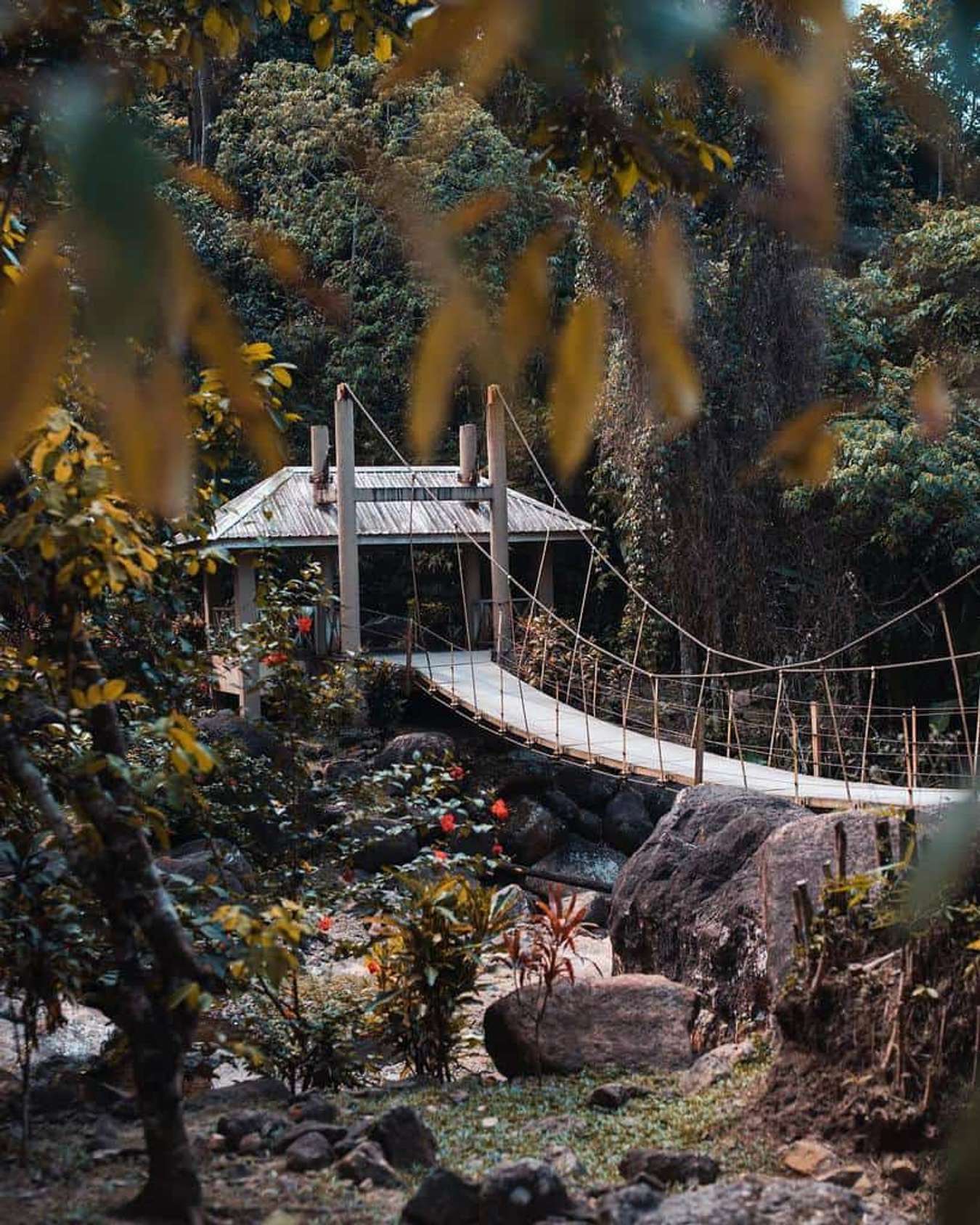 kinh nghiệm du lịch langkawi-Durian Perangin