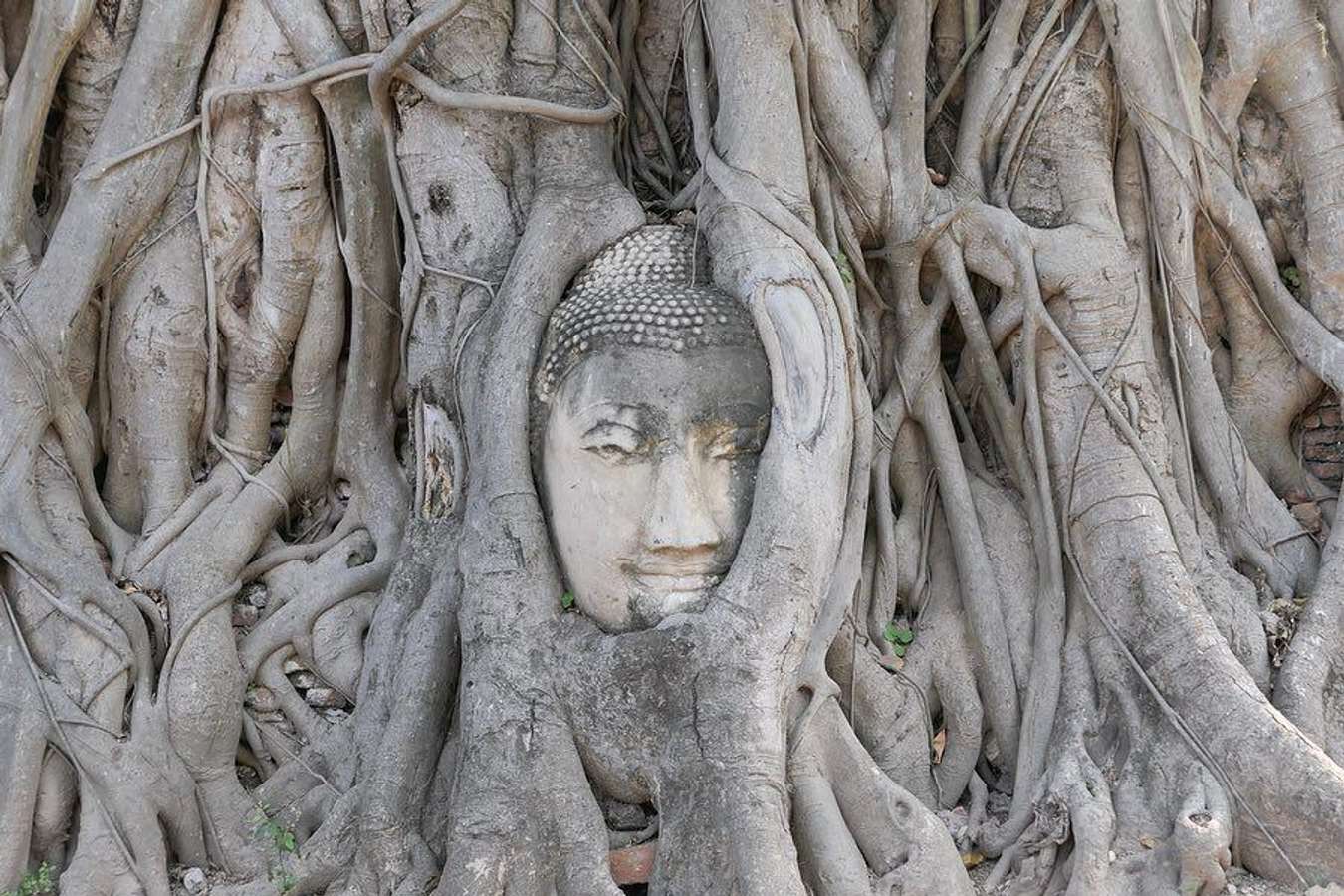 những địa điểm du lịch gần bangkok-ayutthaya