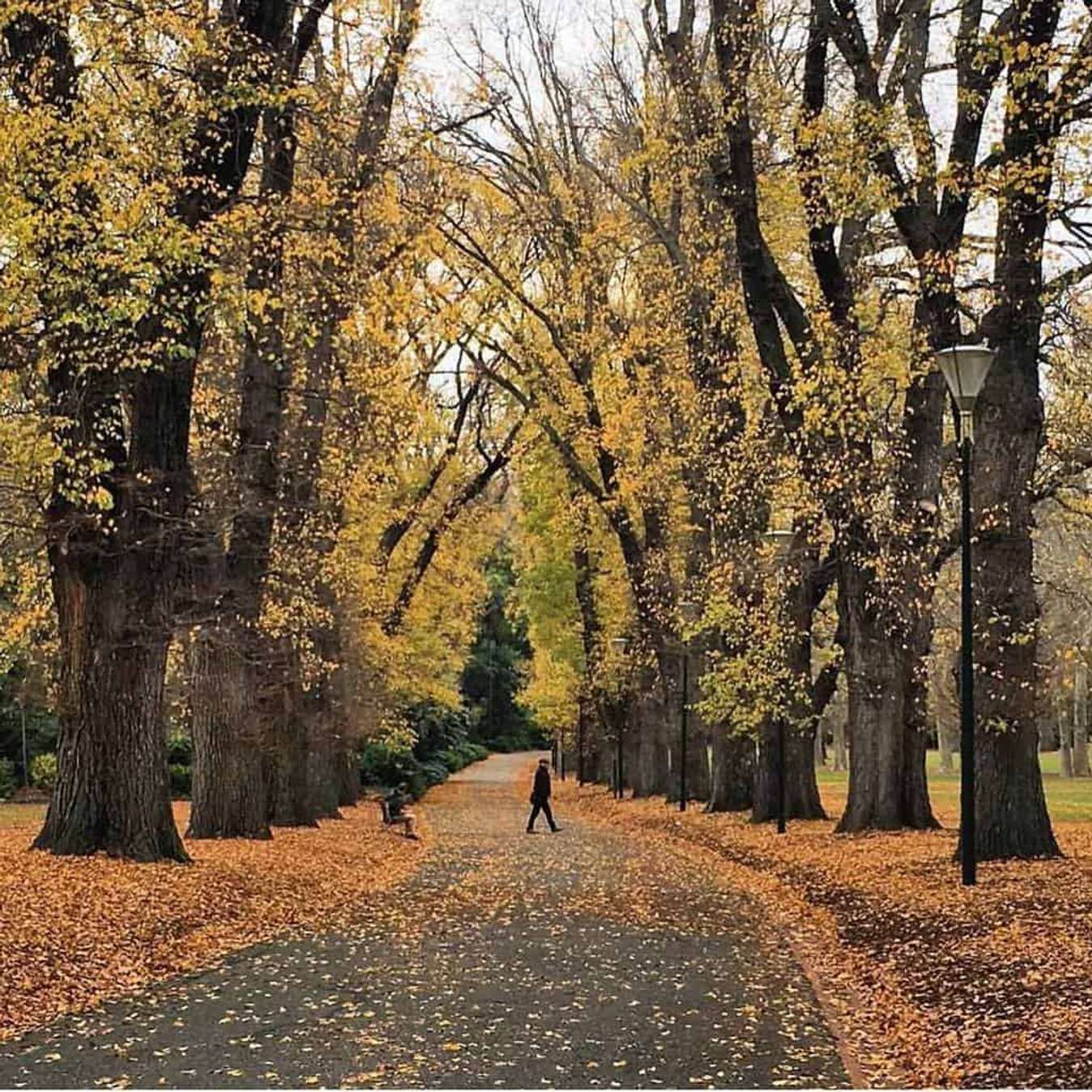 thời tiết melbourne-Royal Botanic Gardens