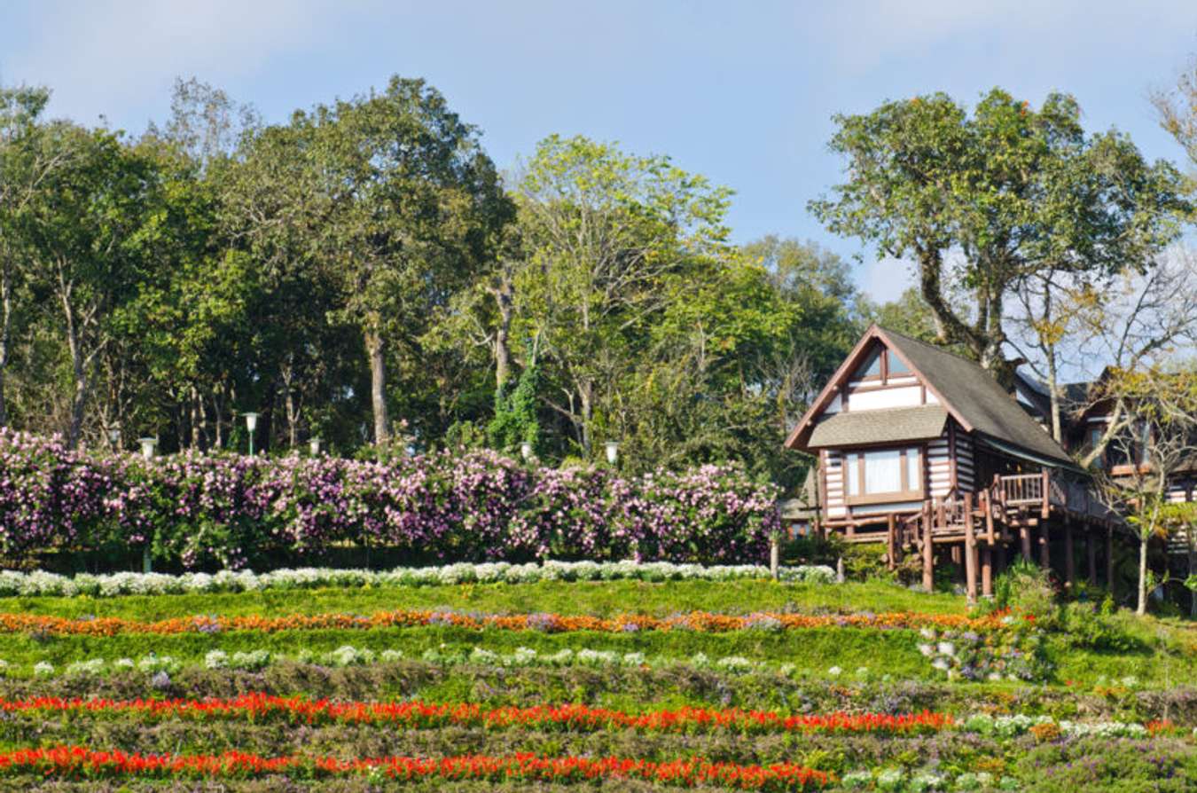 พระตำหนักภูพิงค์ - ที่เที่ยวเชียงใหม่หน้าหนาว