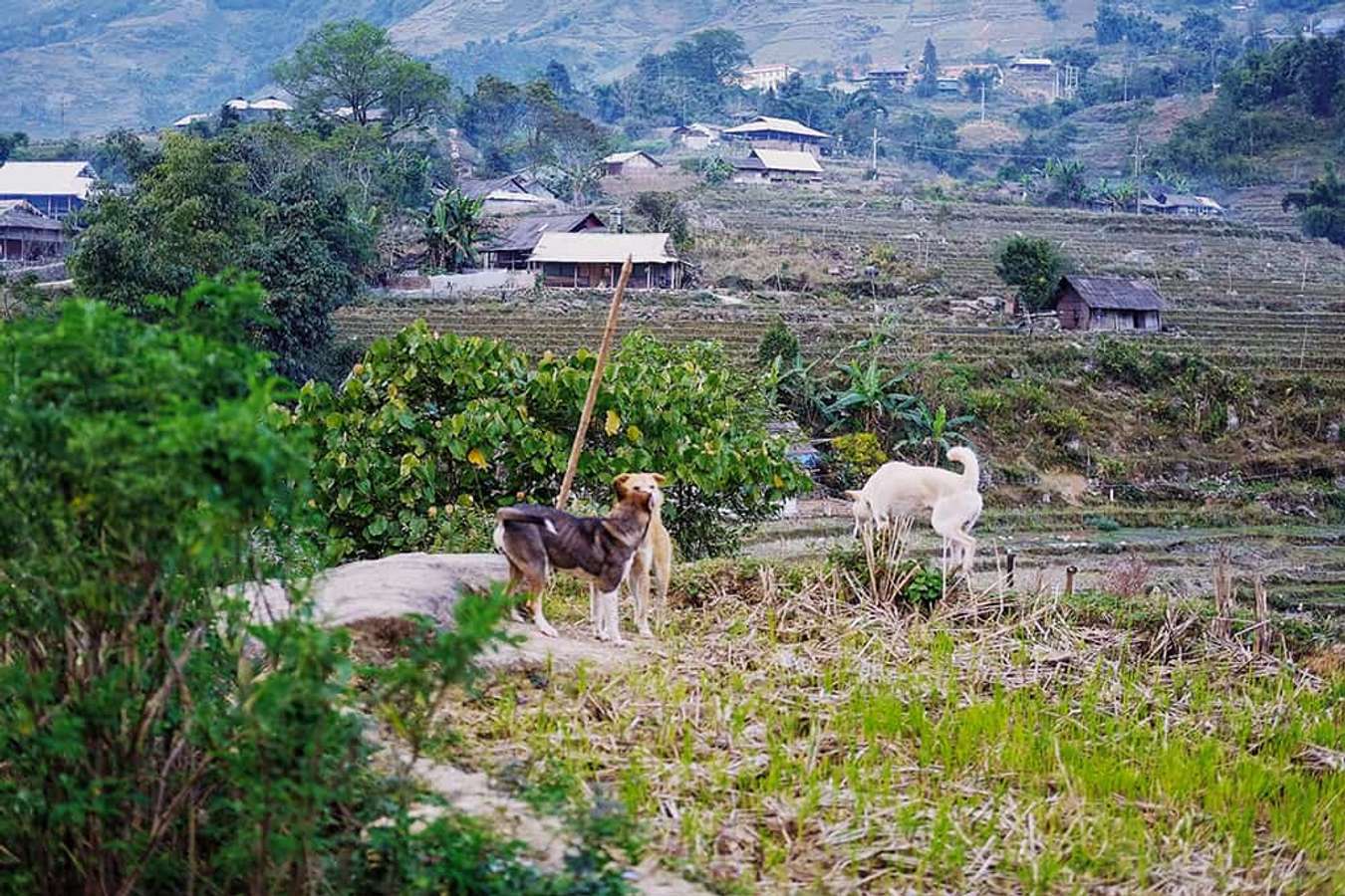 địa điểm du lịch Sapa mới