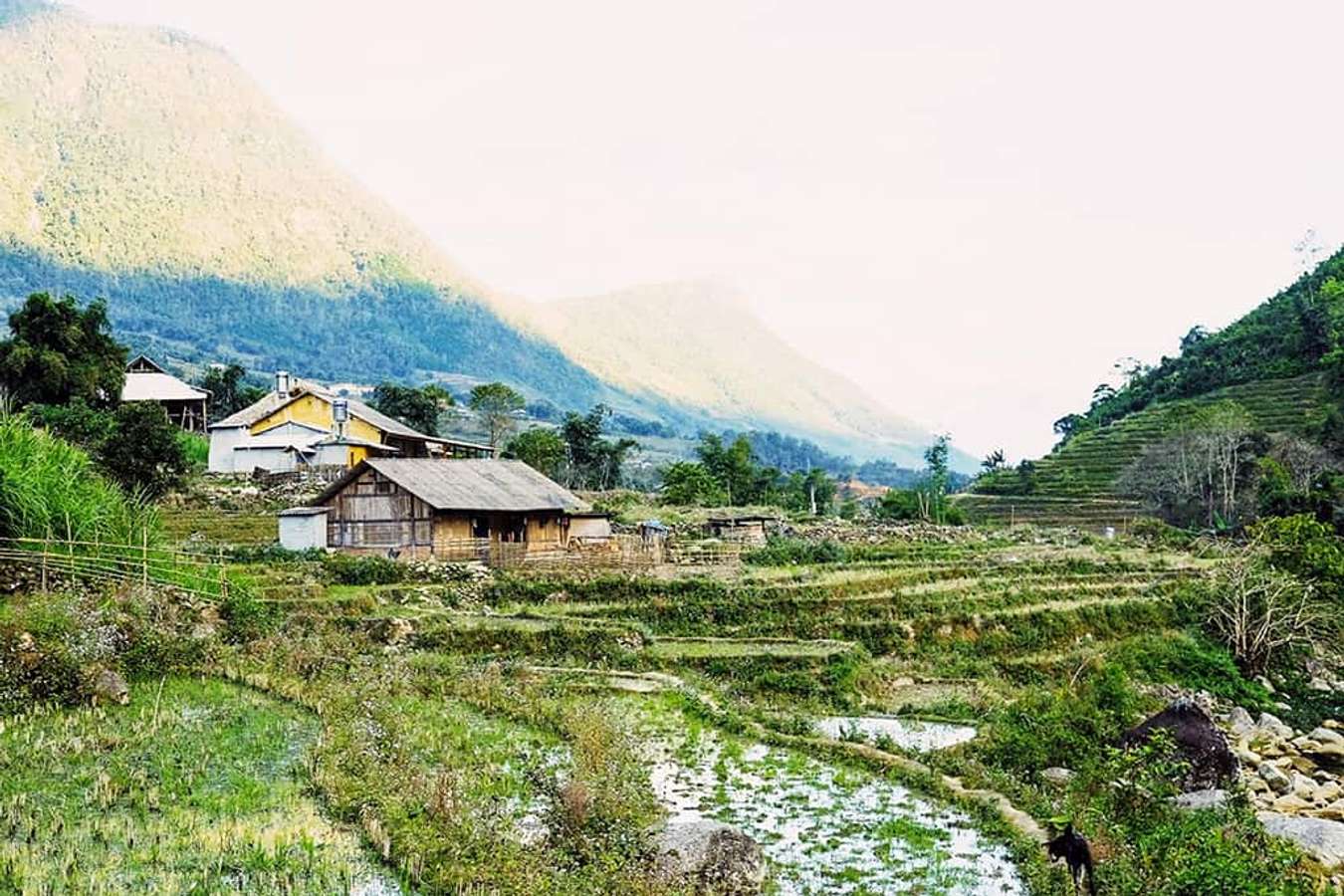 Utopia Eco Lodge