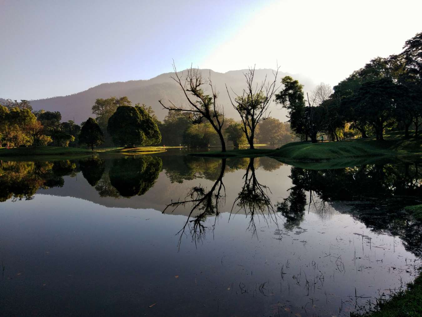 Taiping Lake Gardens