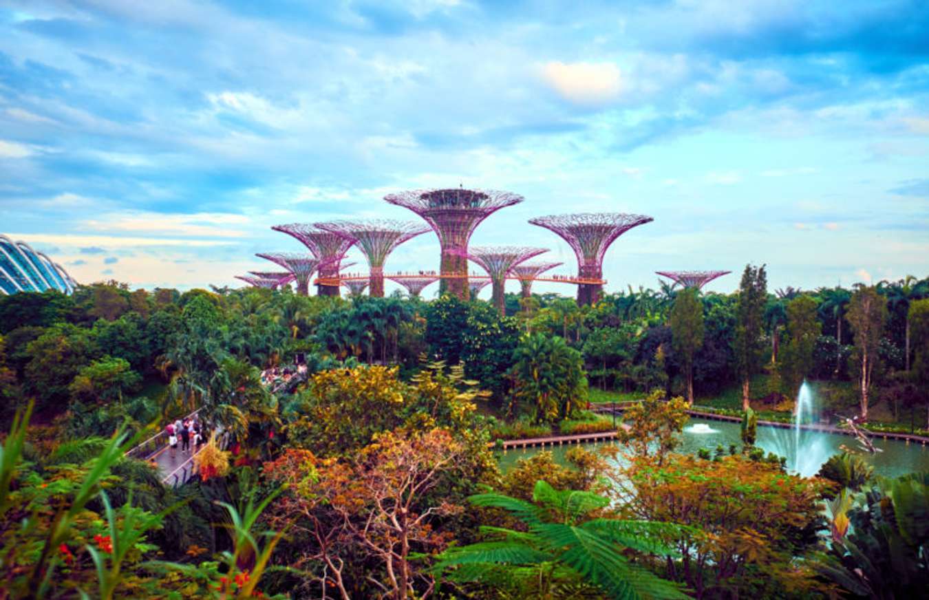 Gardens By The Bay 800x517 ?tr=dpr 2,w 675