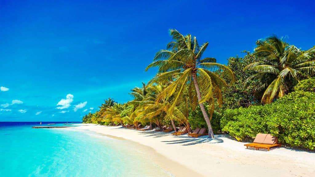 Cắt Dán Hình Ảnh Bãi Biển Maldives Hình ảnh Sẵn có - Tải xuống Hình ảnh  Ngay bây giờ - Ghép ảnh, Hình ảnh tổng hợp, Điểm đến du lịch - iStock