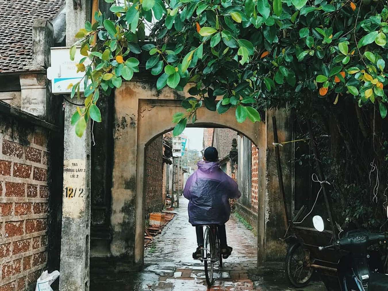 Làng cổ Đường Lâm cảnh xung quanh làng