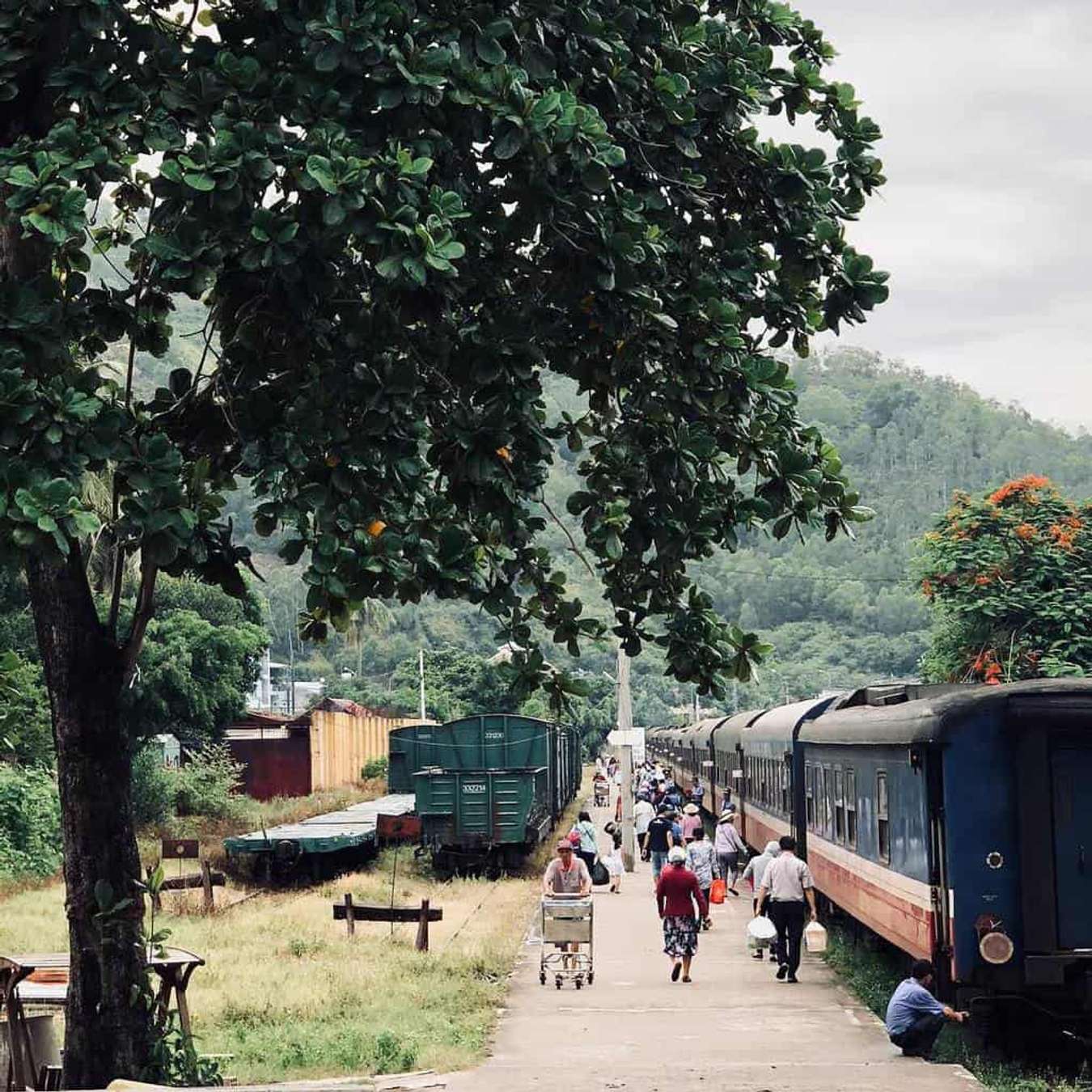 Lịch trình du lịch Quy Nhơn 